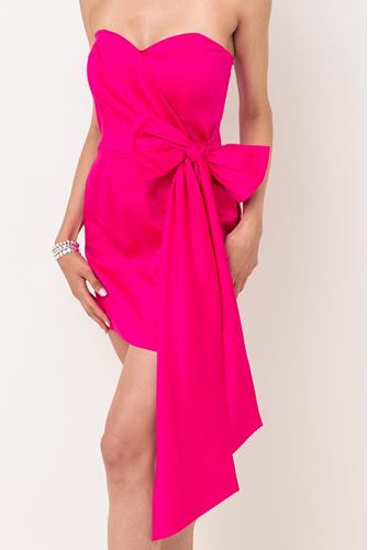 Florida Summer Strapless Dress WILD ROSA