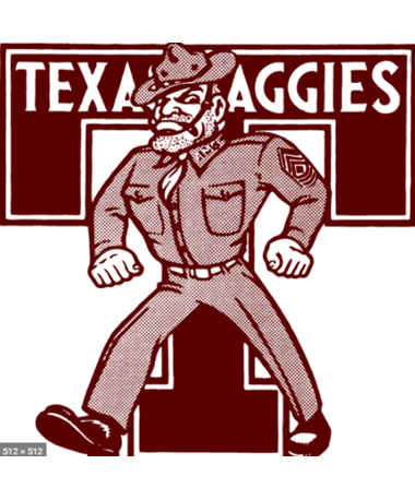 Texas Flag Slim Case